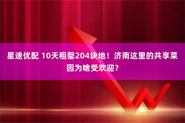 星速优配 10天租罄204块地！济南这里的共享菜园为啥受欢迎？