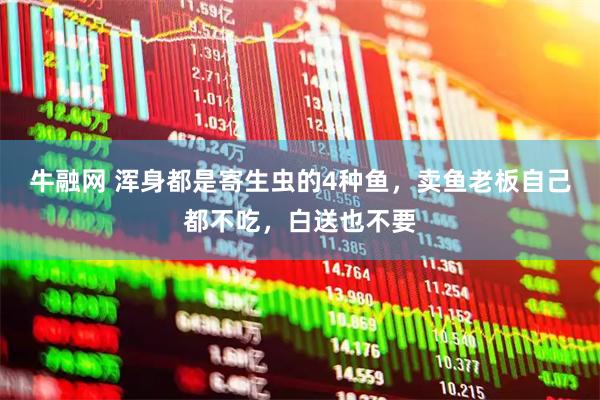 牛融网 浑身都是寄生虫的4种鱼，卖鱼老板自己都不吃，白送也不要