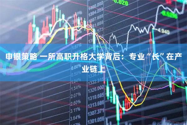 申银策略 一所高职升格大学背后：专业“长”在产业链上