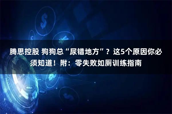 腾思控股 狗狗总“尿错地方”？这5个原因你必须知道！附：零失败如厕训练指南