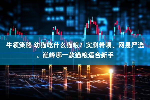 牛领策略 幼猫吃什么猫粮？实测希喂、网易严选、巅峰哪一款猫粮适合新手