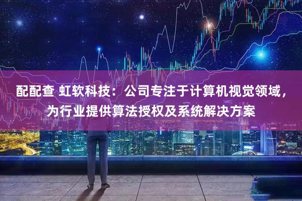 配配查 虹软科技:公司专注于计算机视觉领域,为行业提供算法授权及系统解决方案