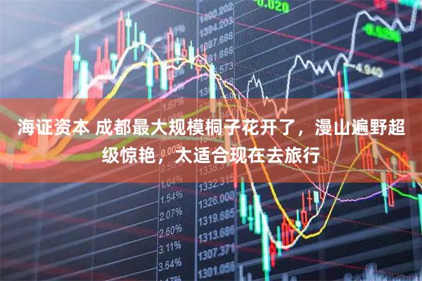 海证资本 成都最大规模桐子花开了，漫山遍野超级惊艳，太适合现在去旅行