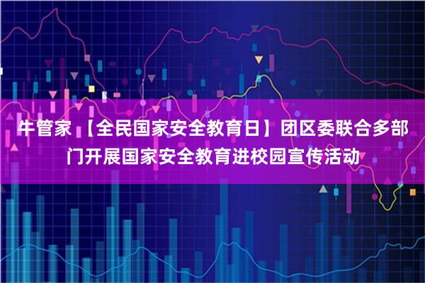 牛管家 【全民国家安全教育日】团区委联合多部门开展国家安全教育进校园宣传活动