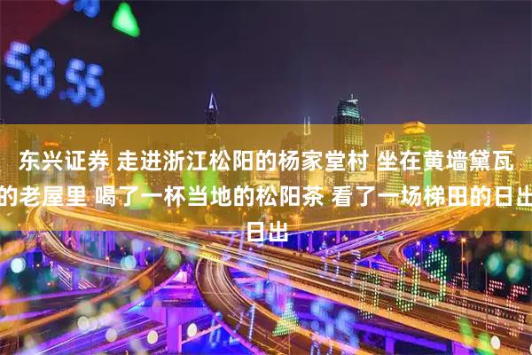 东兴证券 走进浙江松阳的杨家堂村 坐在黄墙黛瓦的老屋里 喝了一杯当地的松阳茶 看了一场梯田的日出