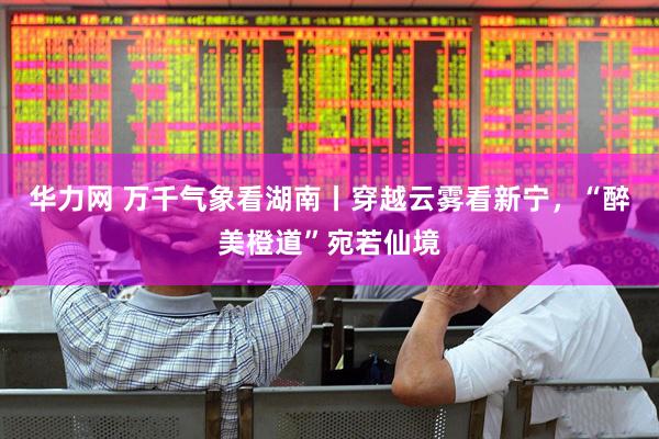 华力网 万千气象看湖南丨穿越云雾看新宁，“醉美橙道”宛若仙境