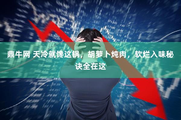 鼎牛网 天冷就馋这锅，胡萝卜炖肉，软烂入味秘诀全在这