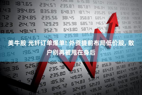 美牛股 光纤订单爆单! 外资提前布局低价股, 散户别再被甩在身后