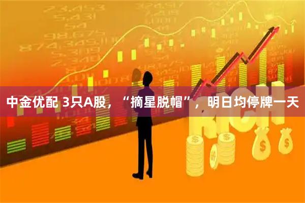 中金优配 3只A股，“摘星脱帽”，明日均停牌一天