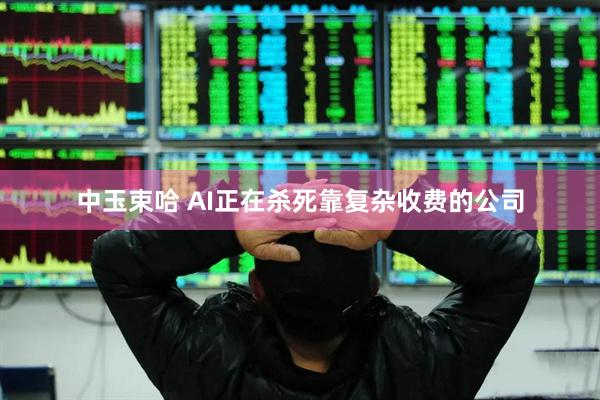 中玉束哈 AI正在杀死靠复杂收费的公司