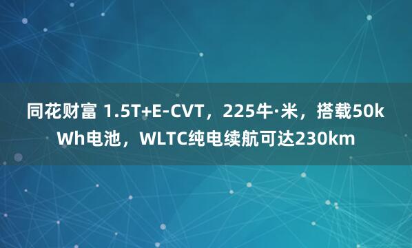 同花财富 1.5T+E-CVT，225牛·米，搭载50kWh电池，WLTC纯电续航可达230km